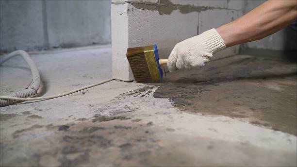 SJ Waterproofing Pros Waterproofing coverage map for Newport, MI and surrounding area